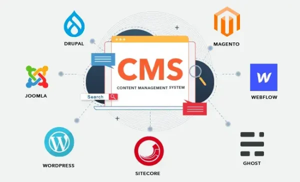 Website Content Management System (CMS) Setup